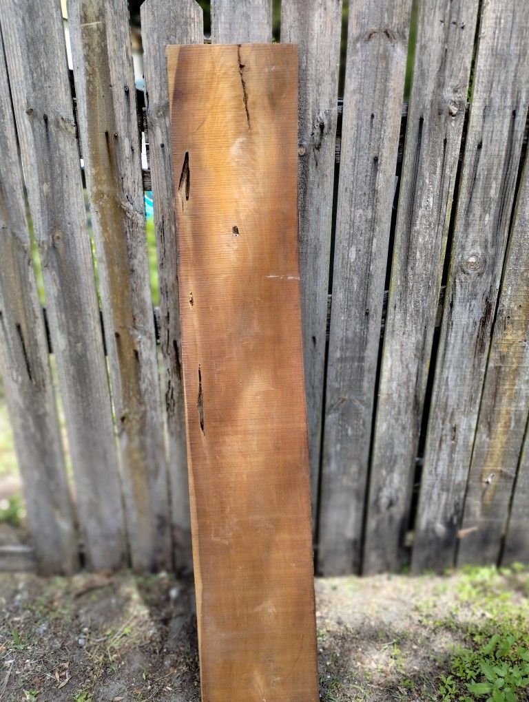 Beautiful Cypress
