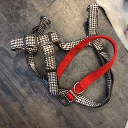 15” Dog Harness & Collar