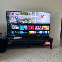 Samsung 60 Inch TV $175.00