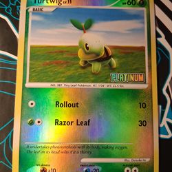 Turtwig 77