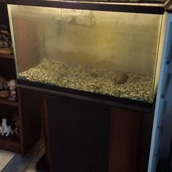 40 Gallon Aquarium With Tabletop Stand 
