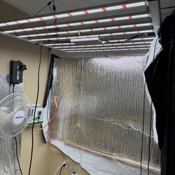 Led Grow Light
