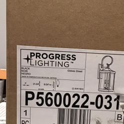 Progress Lighting Gibbes Street P560022-031 Two-Light Medium Wall Lantern -...