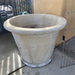 Beautiful Flower Pot, Solid Concrete