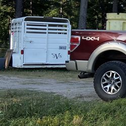 Horse Trailer Spring TX