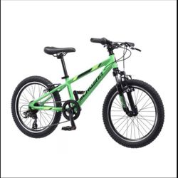 Schwinn on sale thrasher 20