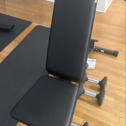 Gym Bench