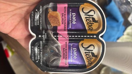 Pate cat food