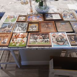 Sports  Memberbolia Pic.