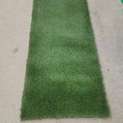 Dog Run / Artificial Grass