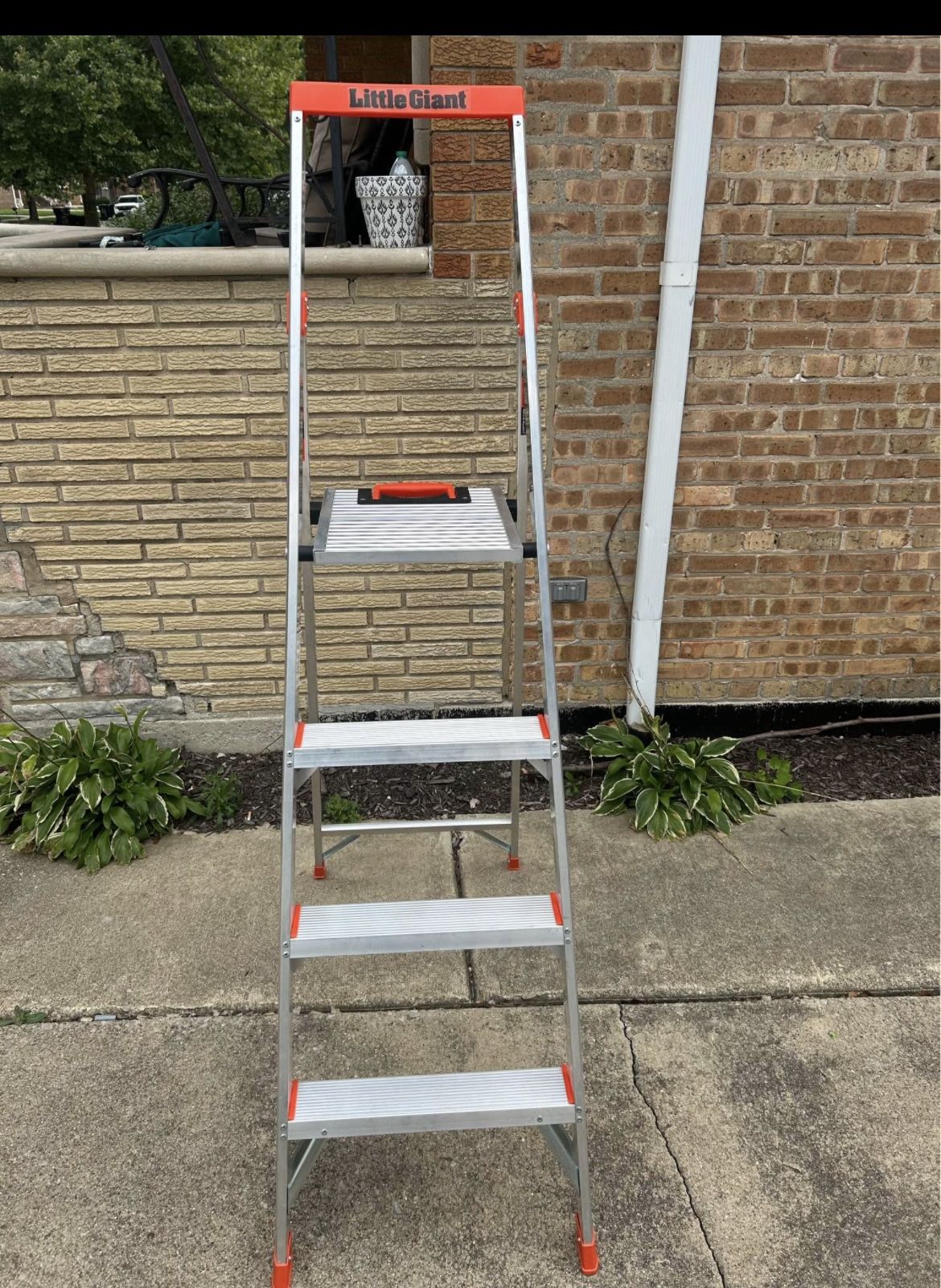 Little Giant Flip-N-Lite Ladder