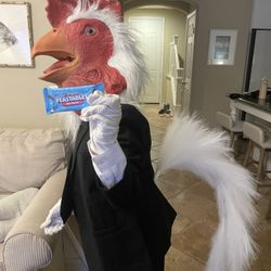 Chicken Man Costume Kids Size 12