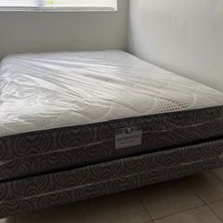 Brand new queen plush + free box spring as a gift