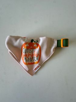 Pet Bandana “best pumpkin in the patch” large
