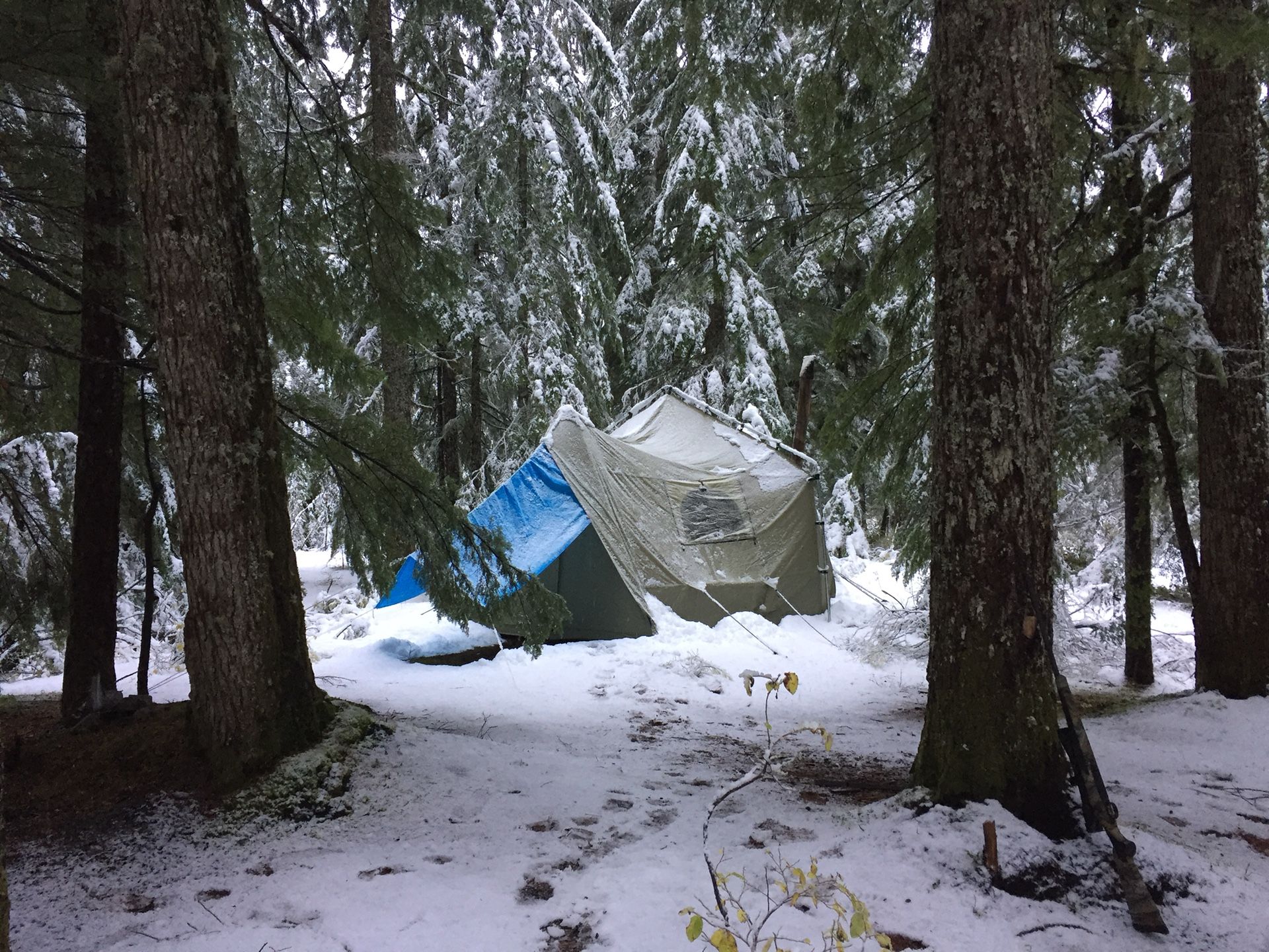 Cabelas big horn 3 outfitter tent with wood stove and floor liner.