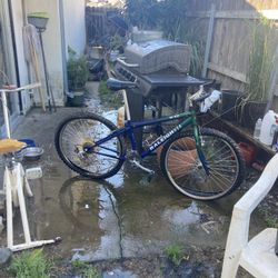 Raleigh USA M60 Mountain Bike 