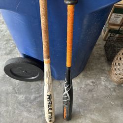 Bats 