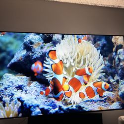 55 Inch Samsung TV
