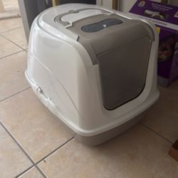 Arenera De Gato 