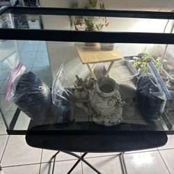 30 Gallon Aquarium Setup – Clean, Ready to Go