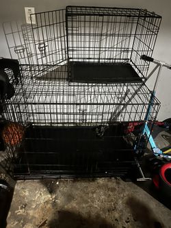 Dog Cage 