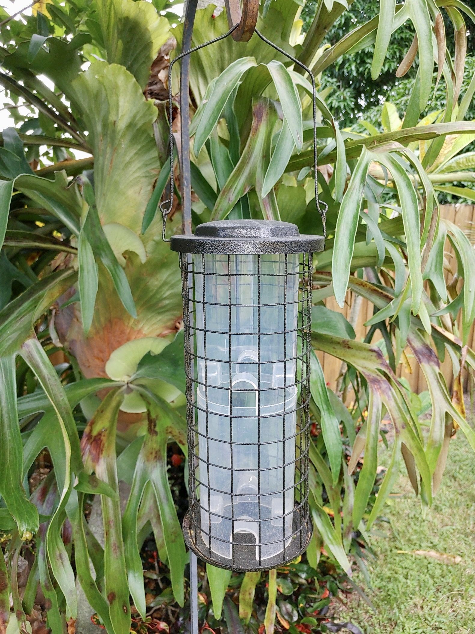 Preowned bird feeder