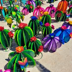 💐Desert Blooms🌵Barrel Cactus🌹Flowers🏜 ️Saguaros🌵Agaves+More