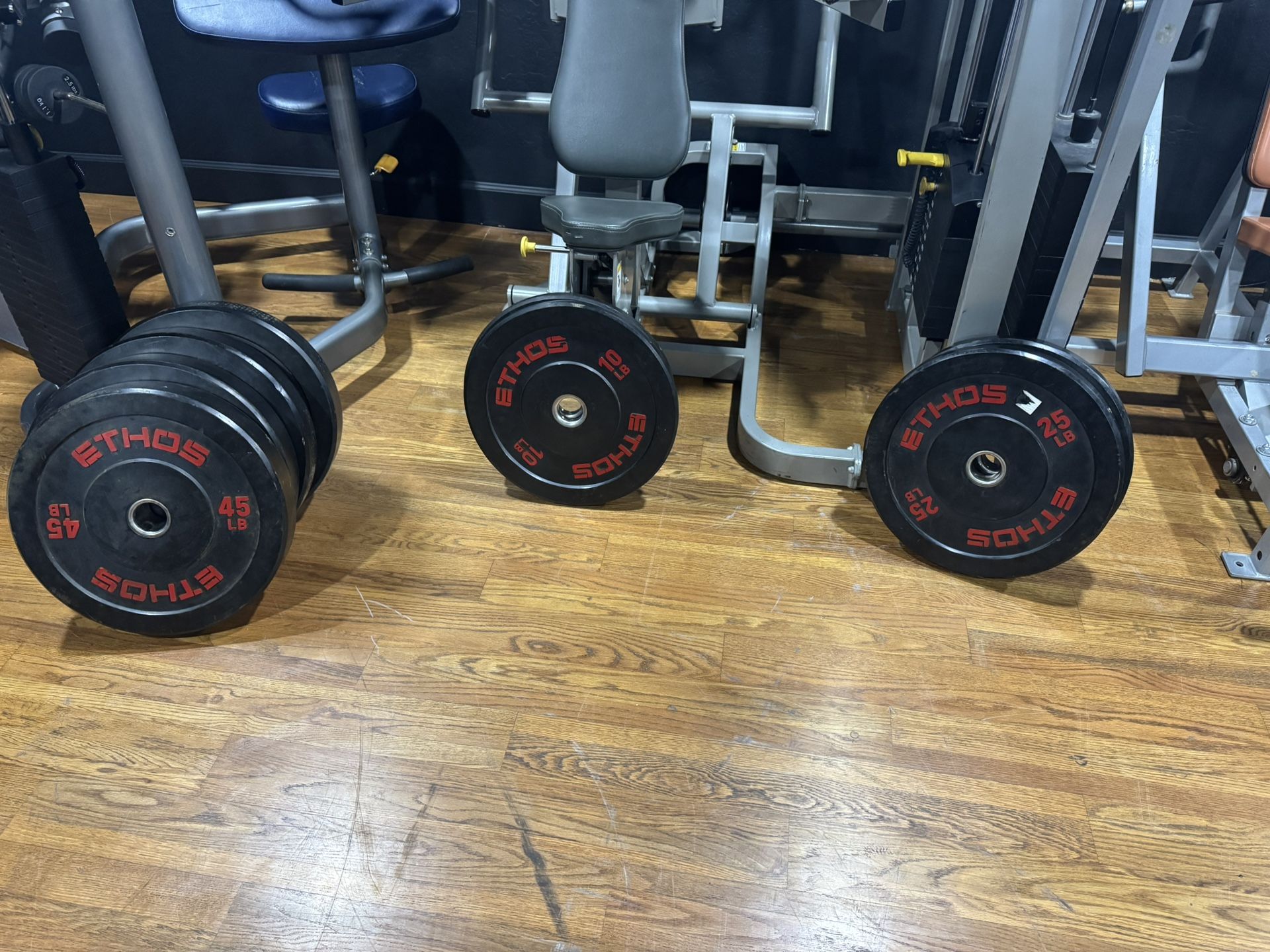$1 Weight Plates (Ethos) Bumper