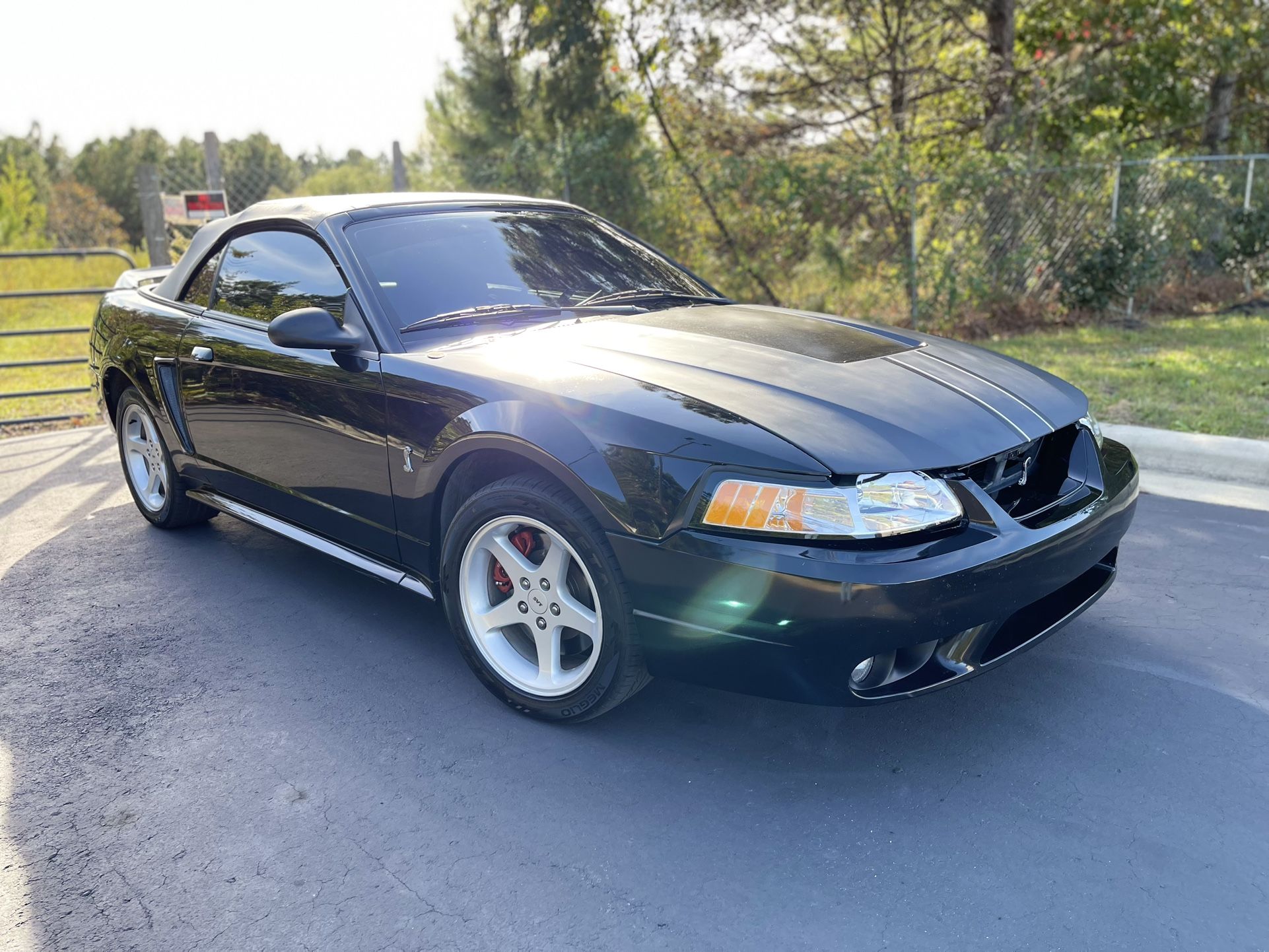 1999 Ford Mustang