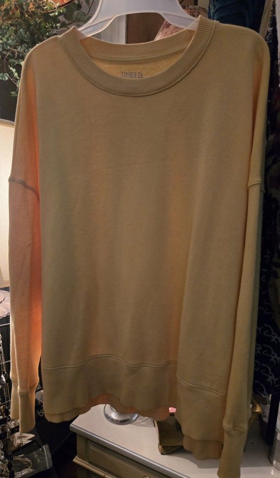 Ladies Large Time And Tru Sweatshirts