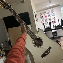 GD37-12 String Takamine 