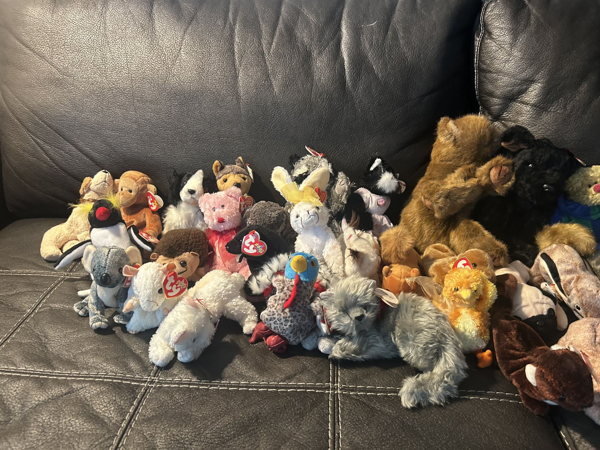 Beanie babies assortment