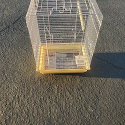 Big Bird Cage
