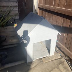 House Dog