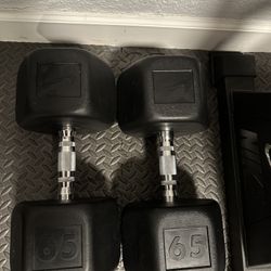 New Nike 65# Premium Dumbbells 