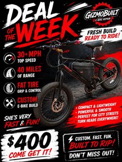 Custom fat tire Ebike fast