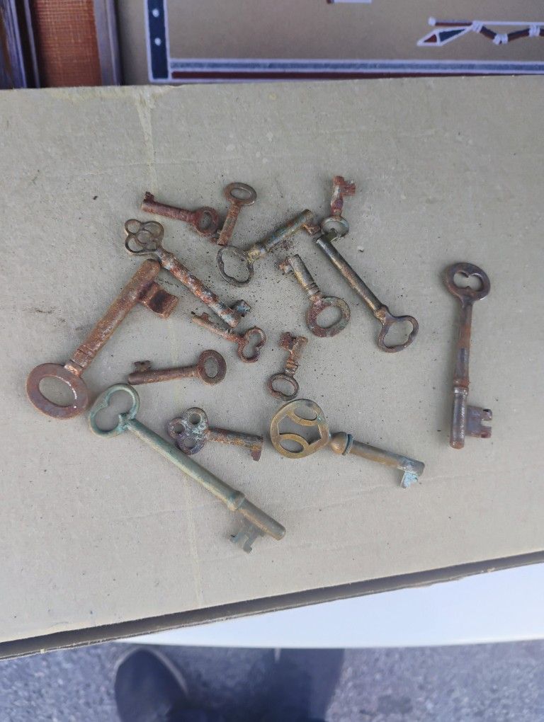 Lot of Antique Small Skeleton Keys