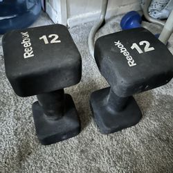 12lb Dumbbells 