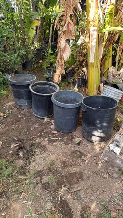 5 pots 15 gallons $20