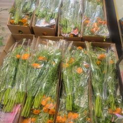 Flor De Cempasuchil