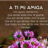 A La Moda 