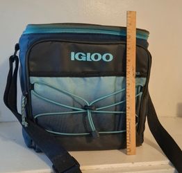 Igloo Cooler Backpack – Holds 12 Cans – Removable Liner