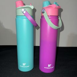 Hydraflow 25oz Stainless Steel Triple Layer Insulation Water Bottle - 2 Bottles