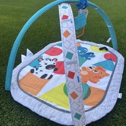 Lay And Play Mat