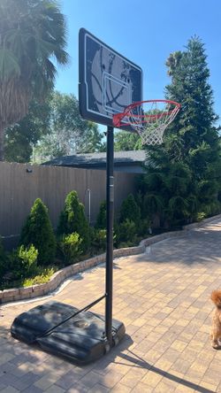 Basket ball hoop