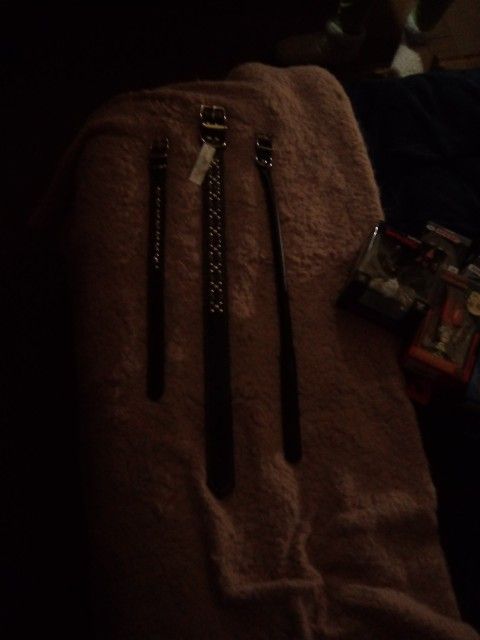 Dog Collars