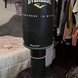 Everlast Punching Bag
