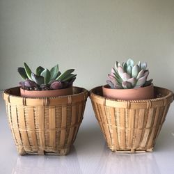 Pair of Vintage Boho Wicker Plant Holders / Basket 