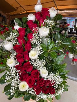 Blooming flowers
