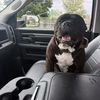 Ruben